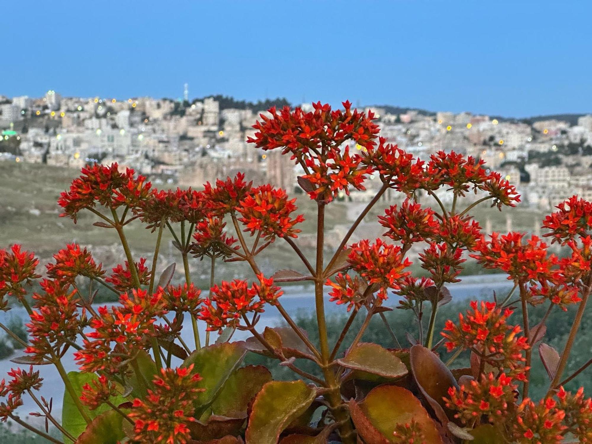 Jerash City View Джераш Екстер'єр фото