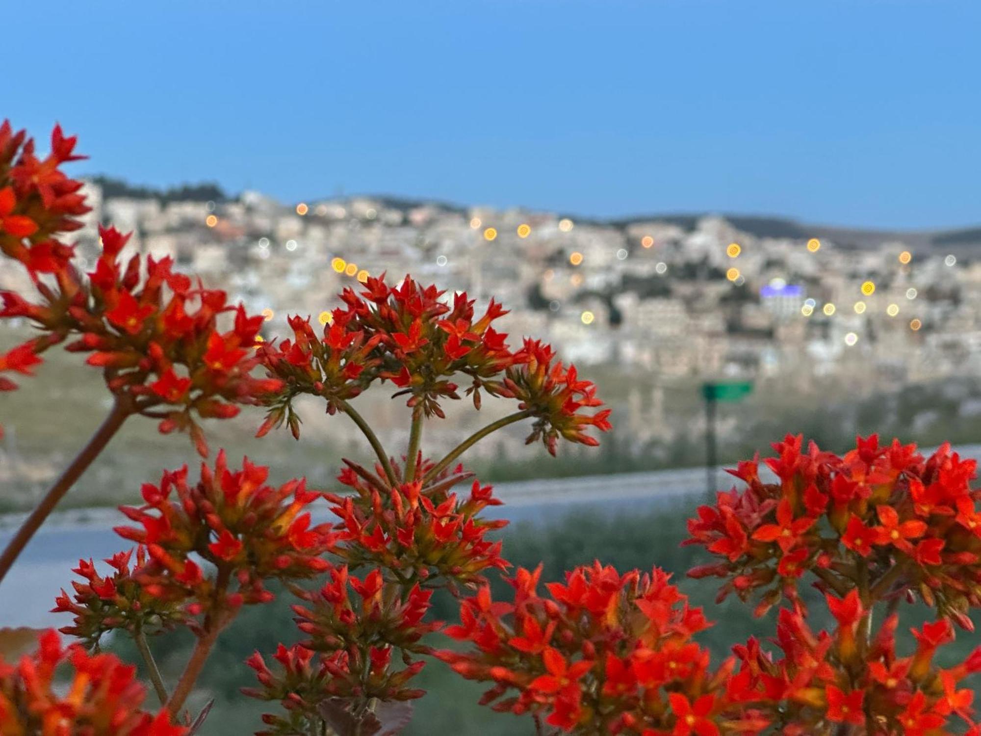 Jerash City View Джераш Екстер'єр фото